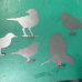 Decoratiune Set 5 păsări diferite