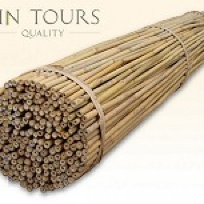 Araci bambus 150 cm/12-14 mm