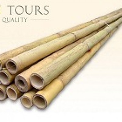 Bambus decorativ 300 cm/ 60-80 mm