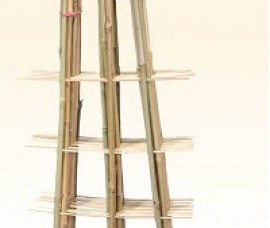 Scarita bambus 75 cm